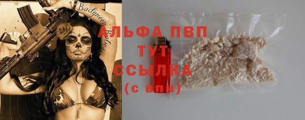 мяу мяу мука Гусев