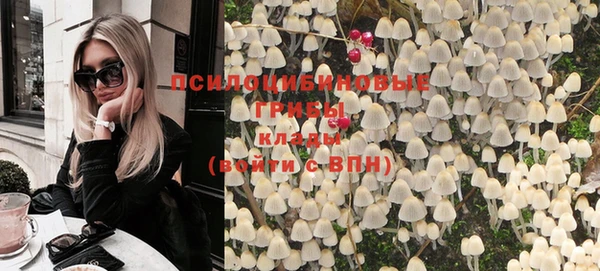 apvp Гусиноозёрск