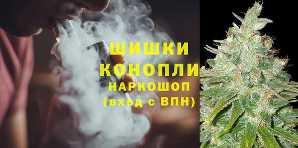 apvp Гусиноозёрск