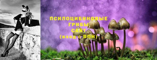 мяу мяу мука Гусев